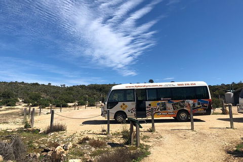 Coffin Bay Day Tour - A Taste Of Coffin Bay - Accommodation Great Ocean Road 4
