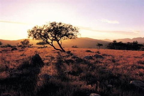 Adelaide To Coober Pedy 7 DAY SMALL GROUP 4WD SAFARI - Accommodation Great Ocean Road 0