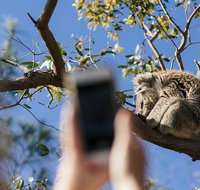 Exceptional Port Lincoln Seafood and Wildlife Tour - Accommodation Great Ocean Road