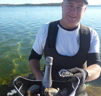 Oyster Farm and Tasting Tour with Hotel Pick-up and return from Port Lincoln - Accommodation Great Ocean Road