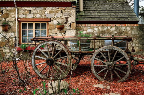 Adelaide Hills Tour With River Murray 3 Hour Lunch Cruise - Accommodation Great Ocean Road 7