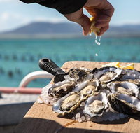 Experience Coffin Bay Oyster Farm and Bay Tour - Accommodation Great Ocean Road