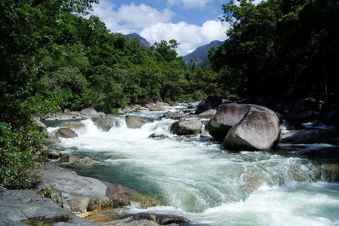 Daintree Rainforest, Cape Tribulation, Mossman Gorge In A Day - Accommodation Great Ocean Road 0