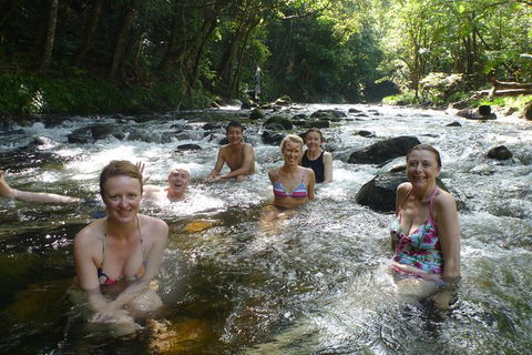 Daintree Rainforest, Cape Tribulation, Mossman Gorge In A Day - Accommodation Great Ocean Road 10