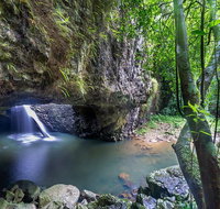 Springbrook andTamborine Rainforest Tour Incl Natural Bridge and Glow Worm Cave - Accommodation Great Ocean Road