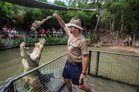 Full-Day Tour With Kuranda Scenic Railway, Skyrail Rainforest Cableway, And Hartley's Crocodile Adventures From Cairns - Accommodation Great Ocean Road 1