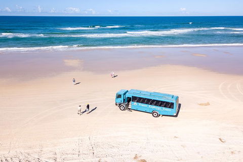 All-Inclusive 2-Day Fraser Island Tour - Accommodation Great Ocean Road 2