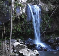 You Choose the Tour Brisbane Private Chauffeur Driven Personal Tour - Accommodation Great Ocean Road