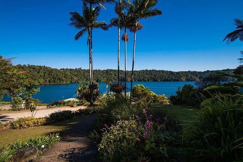 Daintree - Cape Tribulation & Atherton Tablelands Tours From Port Douglas - Accommodation Great Ocean Road 25