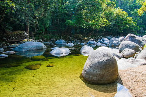 Daintree - Cape Tribulation & Atherton Tablelands Tours From Port Douglas - Accommodation Great Ocean Road 6