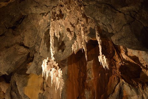 Daintree - Cape Tribulation & Atherton Tablelands Tours From Port Douglas - Accommodation Great Ocean Road 23