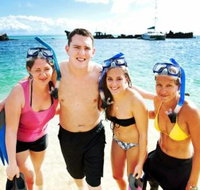 Moreton Island Snorkel and Sandboarding 4WD Day Trip from Brisbane - Accommodation Great Ocean Road