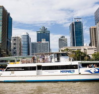 Lone Pine Koala Sanctuary Admission with Brisbane River Cruise - Accommodation Great Ocean Road