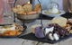 Full-Day Tastes Of The Scenic Rim Luxury Small Group Tour From Brisbane - thumb 0