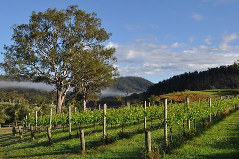Full Day Mount Tamborine Winery Tour From Gold Coast - Accommodation Great Ocean Road 15