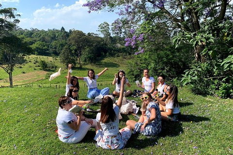 Full Day Mount Tamborine Winery Tour From Gold Coast - Accommodation Great Ocean Road 11