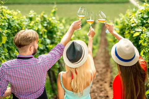 Full Day Mount Tamborine Winery Tour From Gold Coast - Accommodation Great Ocean Road 14