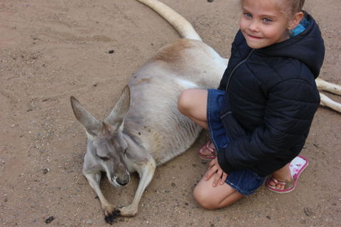 Gold Coast Attraction Pass Including Currumbin Wildlife Sanctuary And Paradise Jetboating - Accommodation Great Ocean Road 3