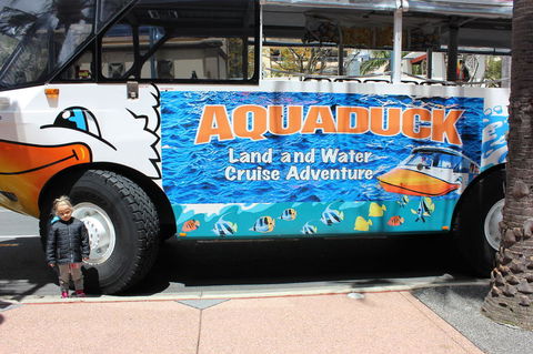 Gold Coast Attraction Pass Including Currumbin Wildlife Sanctuary And Paradise Jetboating - Accommodation Great Ocean Road 2