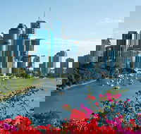 Brisbane Sightseeing Tour and Brisbane River Cruise - Accommodation Great Ocean Road
