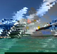 Eco Marine Safari - Boom netting  Snorkeling Moreton Island - Fortitude Valley - Accommodation Great Ocean Road