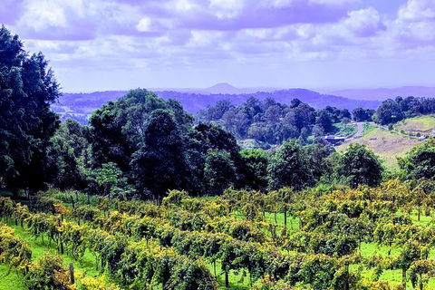 Queensland Food Tour: Farm-to-Table Indulgence - Accommodation Great Ocean Road 6