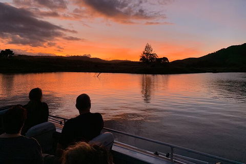 Daintree River Dawn Cruise - Accommodation Great Ocean Road 8