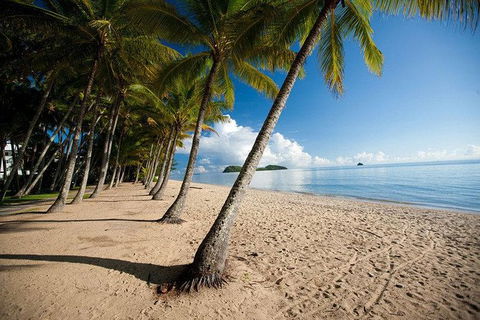 Kuranda Day Trip Small Group From Port Douglas By Bus - Accommodation Great Ocean Road 3