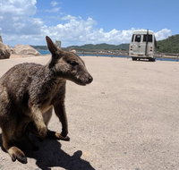 Magnetic Island Tour Maggie Comprehensive - Accommodation Great Ocean Road
