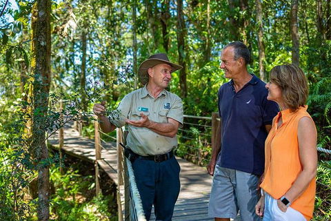 Kuranda Scenic Railway Day Trip From Palm Cove - Accommodation Great Ocean Road 4