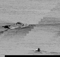 Overnight Tweed Coast Camping and Surfing Getaway From The Gold Coast - Accommodation Great Ocean Road