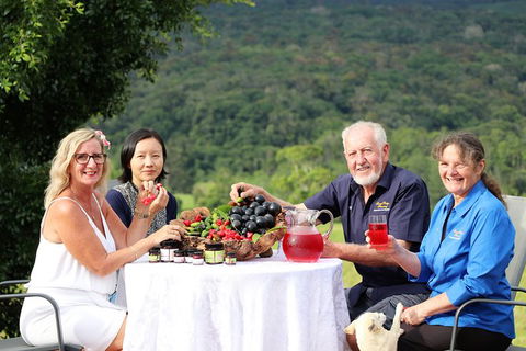 Atherton Tablelands Small-Group Food & Wine Tasting Tour From Port Douglas - Accommodation Great Ocean Road 17