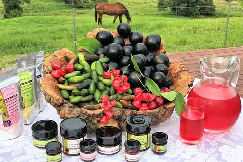 Atherton Tablelands Small-Group Food & Wine Tasting Tour From Port Douglas - Accommodation Great Ocean Road 12