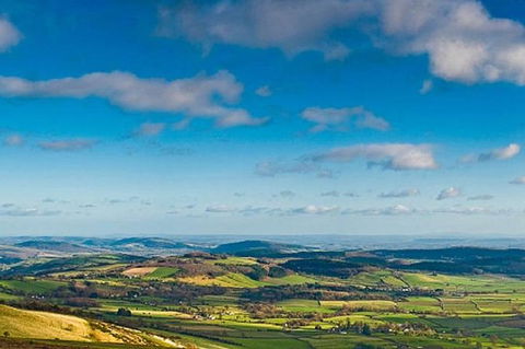 Atherton Tablelands Small-Group Food & Wine Tasting Tour From Port Douglas - Accommodation Great Ocean Road 20