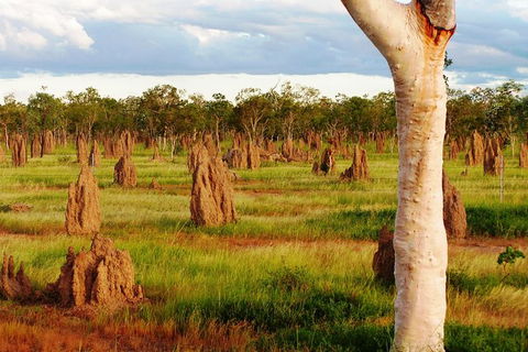 Atherton Tablelands Small-Group Food & Wine Tasting Tour From Port Douglas - Accommodation Great Ocean Road 18