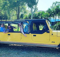 3.5 hour Eco Tour - Accommodation Great Ocean Road