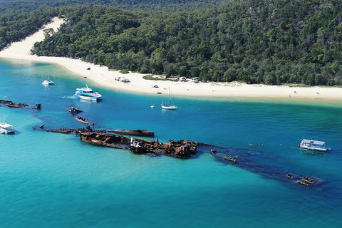 All Inclusive Dolphin And Tangalooma Wrecks Cruise Departing Gold Coast - Accommodation Great Ocean Road 0