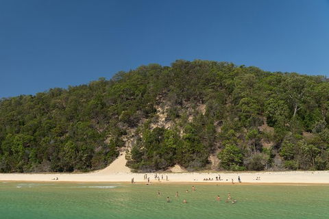 All Inclusive Dolphin And Tangalooma Wrecks Cruise Departing Gold Coast - Accommodation Great Ocean Road 3