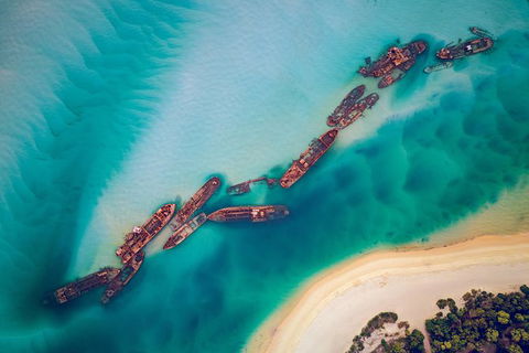 All Inclusive Dolphin And Tangalooma Wrecks Cruise Departing Gold Coast - Accommodation Great Ocean Road 6