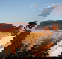 Uluru Ayers Rock Sunset with Outback Barbecue Dinner and Star Tour - Accommodation Great Ocean Road