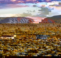 Alice Springs to Uluru Ayers Rock One Way Shuttle - Accommodation Great Ocean Road