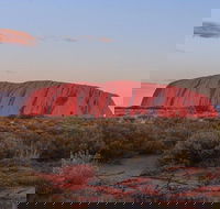3-Day Uluru Camping Tour from Alice Springs Including Kata Tjuta and Kings Canyon - Accommodation Great Ocean Road