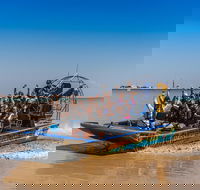 1 Hour Darwin Airboat Tours - Accommodation Great Ocean Road