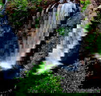 Litchfield Dreams 1 Day National Park Waterfall Swimming  Jumping Croc Cruise - Accommodation Great Ocean Road