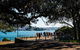 2-Day Combo: Sydney City Tour, Sydney Harbour Lunch Cruise And Blue Mountains Day Trip - thumb 2