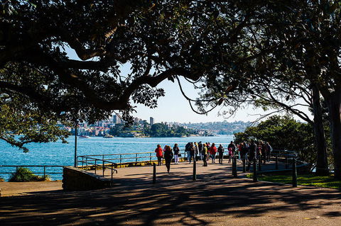 2-Day Combo: Sydney City Tour, Sydney Harbour Lunch Cruise And Blue Mountains Day Trip - Accommodation Great Ocean Road 2