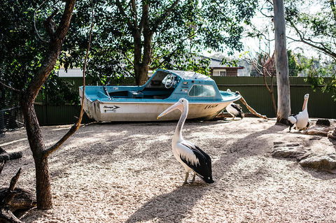 2-Day Combo: Sydney City Tour, Sydney Harbour Lunch Cruise And Blue Mountains Day Trip - Accommodation Great Ocean Road 19