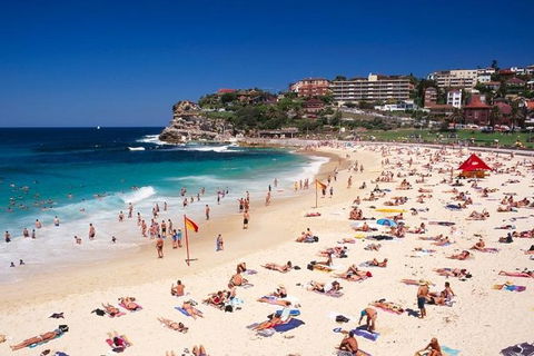Sydney Half Day Highlights - Luxury Private Tour - Morning Or Afternoon Avail - Accommodation Great Ocean Road 13