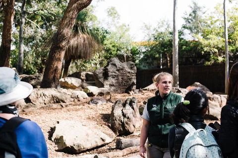 Sydney Taronga Zoo General Entry Ticket And Wild Australia Experience - Accommodation Great Ocean Road 8