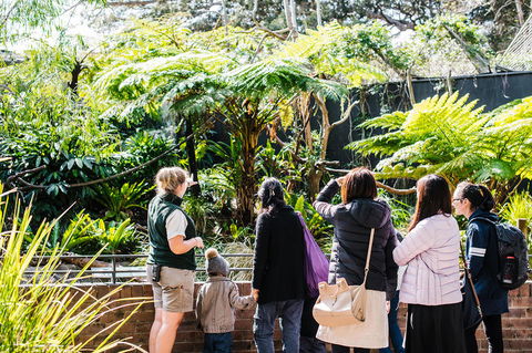 Sydney Taronga Zoo General Entry Ticket And Wild Australia Experience - Accommodation Great Ocean Road 14